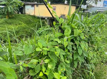 Terreno / Lote · 845m² · Venta de Terreno en Transístmica. Vc