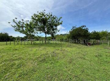 Terreno / Lote , Chame · Terreno en Venta en Carretera Bejuco Sora Cg