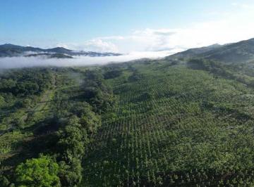 Terreno / Lote · 1113600m² · Terreno en Venta en Colón, San Juan, Sector Sardinilla. Sd