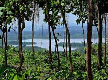 Terreno / Lote , La Chorrera · Oportunidad: Lotes Camprestres Titulados Financiamiento Directo Sin Abono y Interes - Lago Gatún