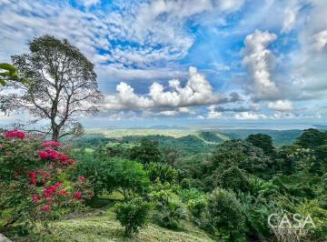 Terreno / Lote , Bocas del Toro · Finca Agroecológica de Cacao en Venta en Ojo de Agua, Changuinola, Bocas del Toro