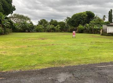 Terreno / Lote · 1132m² · Vendo Lote Amplio y Centrico en David Chiriqui