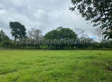 Terreno / Lote , Chepo · Inversionista. Finca Comercial El Cual Esta Compuestapor 242 Has en Torti