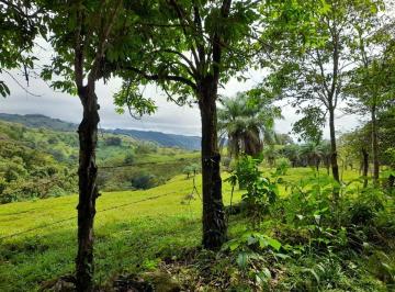 Terreno / Lote , San Félix · Lote de 3.6 Acres en Venta con Vistas Al Oceano y a La Montana en Las Lajas, Chiriqui