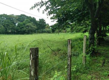 Terreno / Lote , Chame · Chame, Panama Oeste, Vendo Finca 1.3 Ha a Poca Distancia de Carretera Panamerican