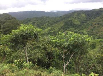 Finca , Soná · Venta de Finca en Veraguas, Soná, Cativé, 526 Hectáreas