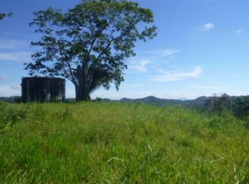 Finca , Capira · Capira, El Espino, Panama Oeste, Finca 56 Ha, a Orilla de Carretera Panamericana