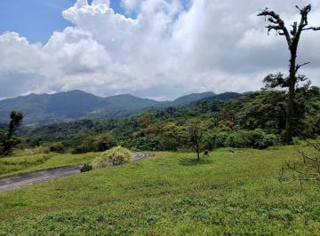 Terreno / Lote , Chame · Venta Terreno Altos del Maria Para Desarrollo 45 Ha Mld