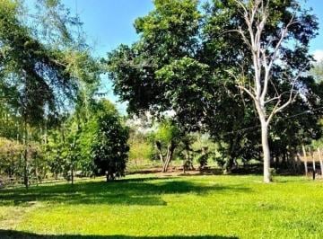 Casa de 3 habitaciones, Boquerón · Amplio Terreno con Casa y Árboles Frutales en La Meseta de Boquerón