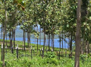 Terreno / Lote , La Chorrera · ¡Lotes con Financiamiento Directo Sin Abono y Interes Desde $200 Quinc. Frente Lago Gatun!