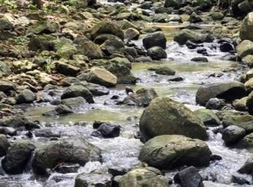 Finca , La Chorrera · ¡Lotes Frente Al Lago Gatún - Financiamiento Directo Sin Abono y Interes Hasta 12 Años!
