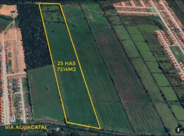 Finca , David · Venta de Finca en Aguacatal San Pablo Viejo Chiriqui
