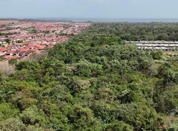 Finca , La Chorrera · Se Vende Terreno de 19.9 Ha en Chorrera