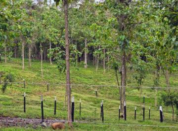 Terreno / Lote , La Chorrera · Lotes Frente Al Lago Gatún - Financiamiento Directo Hasta 12 Años Sin Abono y Interes