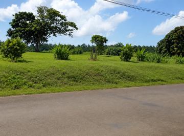 Terreno / Lote , La Chorrera · Terreno en Venta Céntrico en La Chorrera