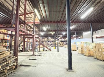 Bodega-Galpón-Depósito · 22000m² · 15 Estacionamientos · Bodega en France Field - 1000 m² Cuarto de Frio