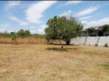 Terreno / Lote , San Carlos · Terreno en Venta en San José de San Carlos