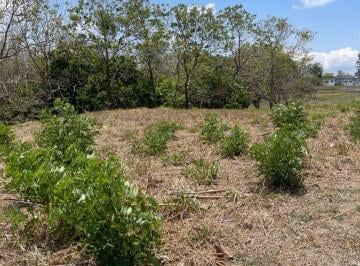 Terreno / Lote , Chame · Terreno en Venta en Las Lajas de Chame