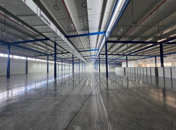 Bodega-Galpón-Depósito , Panamá · Alquilo Bodega