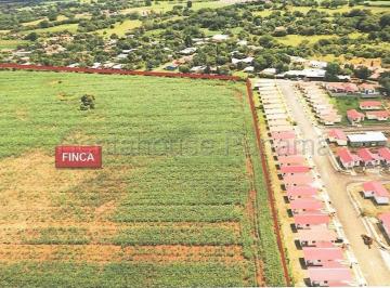 Terreno / Lote , Las Tablas · Terreno en Venta en Las Tablas