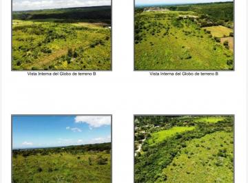 Terreno / Lote , Boquete · Terreno de 80000 m² en Venta en Alto Boquete