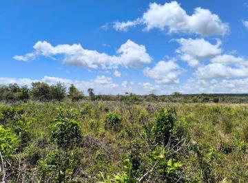 Terreno / Lote , Boquete · Se Vende Una Hectárea en Las Trancas Boquete