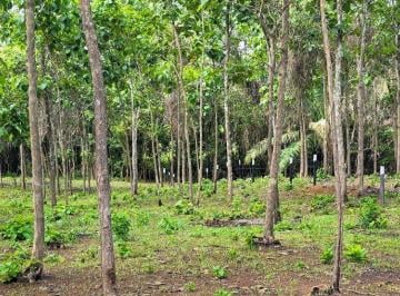 Finca , La Chorrera · Oportunidad Inversión – Frente Lago Lotes Financiamiento Directo Sin Interes y Abono Desde $200 Quin