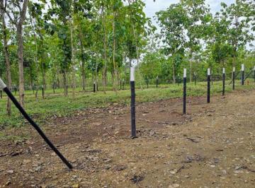 Terreno / Lote , La Chorrera · Oportunidad Inversión Frente Lago Lotes Financiam. Directo Desde $200 Quincenal Sin Abono y Interes