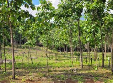 Terreno / Lote , La Chorrera · Oportunidad de Inversión – Frente Lago Gatún Lotes Financiamiento Directo Sin Abono y Interes