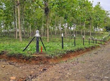 Finca , La Chorrera · Frente Al Lago Gatún Lotes - Financiamiento Directo Desde $200 Quinc. Sin Interes y Abono