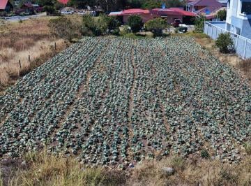 Terreno / Lote , Volcan · Lote con Ubicación Estratégica – Vía Cerro Punta