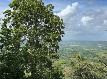 Finca · 145000m² · Finca Ganadera en Venta en Cañita | 14.5 Ha Tituladas y Económicas
