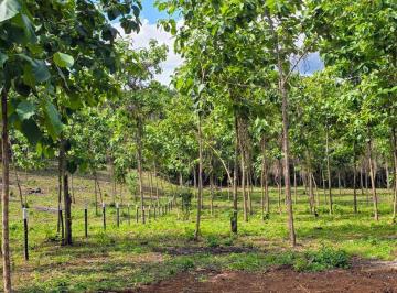 Finca , La Chorrera · Lotes Frente Al Lago - Financiamiento Directo Desde $200 Quincenal Sin Abono y Interes Hasta 12 Años