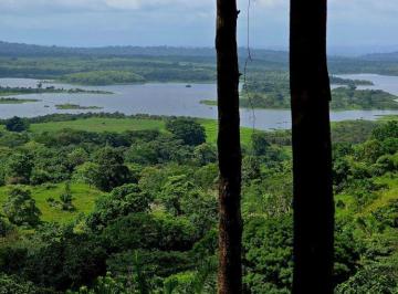 Finca , La Chorrera · Lotes Tituladosfrente Al Lago Gatún - Financiamiento Directo Sin Abono y Interes Hasta 12 Años