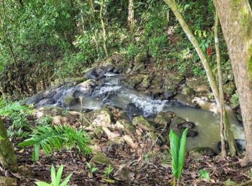 Finca , La Chorrera · Lotes Frente Al Lago - Financiamiento Directo Desde $200 Quincenal Sin Abono y Interes Hasta 12 Años