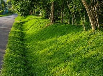 Terreno / Lote , La Chorrera · Terreno en Venta en El Coco de La Chorrera