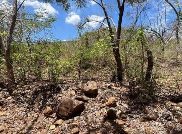 Terreno / Lote · 50000m² · Terreno en Venta en Santa Lucía | 5.5 Ha con Potencial de Desarrollo