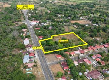 Terreno / Lote , Dolega · Compra 1 Ha Frente a La Vía Boquete, Muy Cerca Al Cruce de Potrerillos/boquete Dolega, Chiriquí