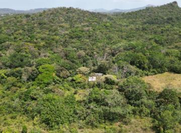 Finca , La Chorrera · Venta de Finca en El Espino, La Chorrera, 19.6 Hectáreas