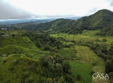 Terreno / Lote , Renacimiento · 22,5 Hectáreas de Terreno en Venta en Renacimiento Chiriquí