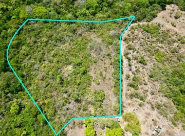 Terreno / Lote , San Carlos · El Higo Terreno en Venta