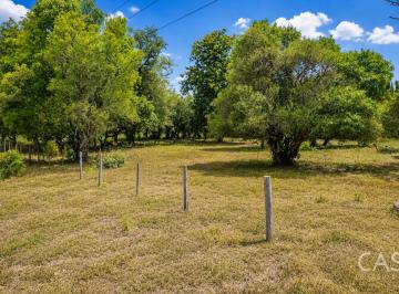 Terreno / Lote , David · Lote Residencial de 3,999 m² en Venta en La Perla, David - Chiriquí