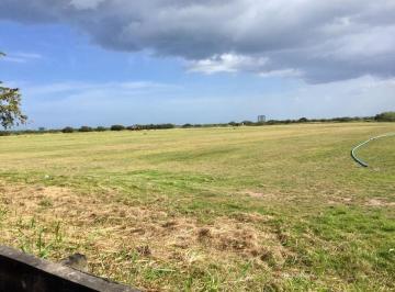 Terreno / Lote , Panamá · Oportunidad de Compra! Venta de Terreno de 111 Ha en Buenaventura