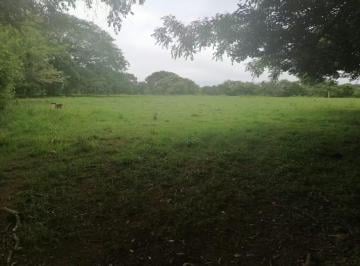 Terreno / Lote · 6451m² · Lote Plano en Venta en Los Santos | 6,451 m² a $12/m²