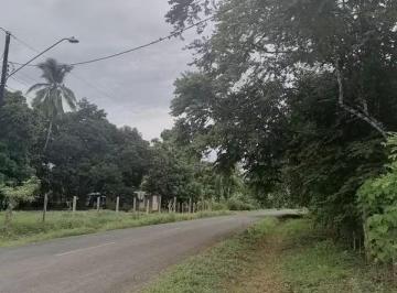 Terreno / Lote · 2117m² · Lote en Venta en El Bijao - Los Olivos | 2,117 m² Planos y Céntricos