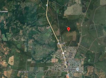 Finca , Natá · Venta de Finca en Río Grande, Natá, Coclé, 120 Hectáreas