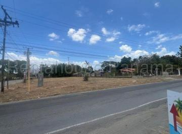 Terreno / Lote en Venta Gorgona · Venta de Terreno en Gorgona