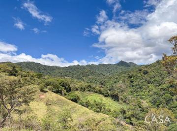 Terreno / Lote , Gualaca · Terreno en Venta en Hornito, Gualaca, Chiriquí - 10.617 m² con Bosque y Elevación