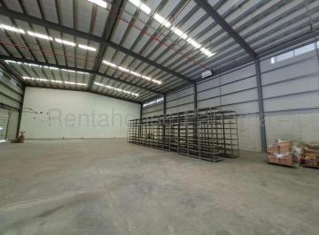 Bodega-Galpón-Depósito , Panamá · Alquiler Galera Llano Bonito