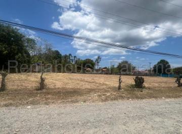 Terreno / Lote , Chame · Venta Terreno Gorgona